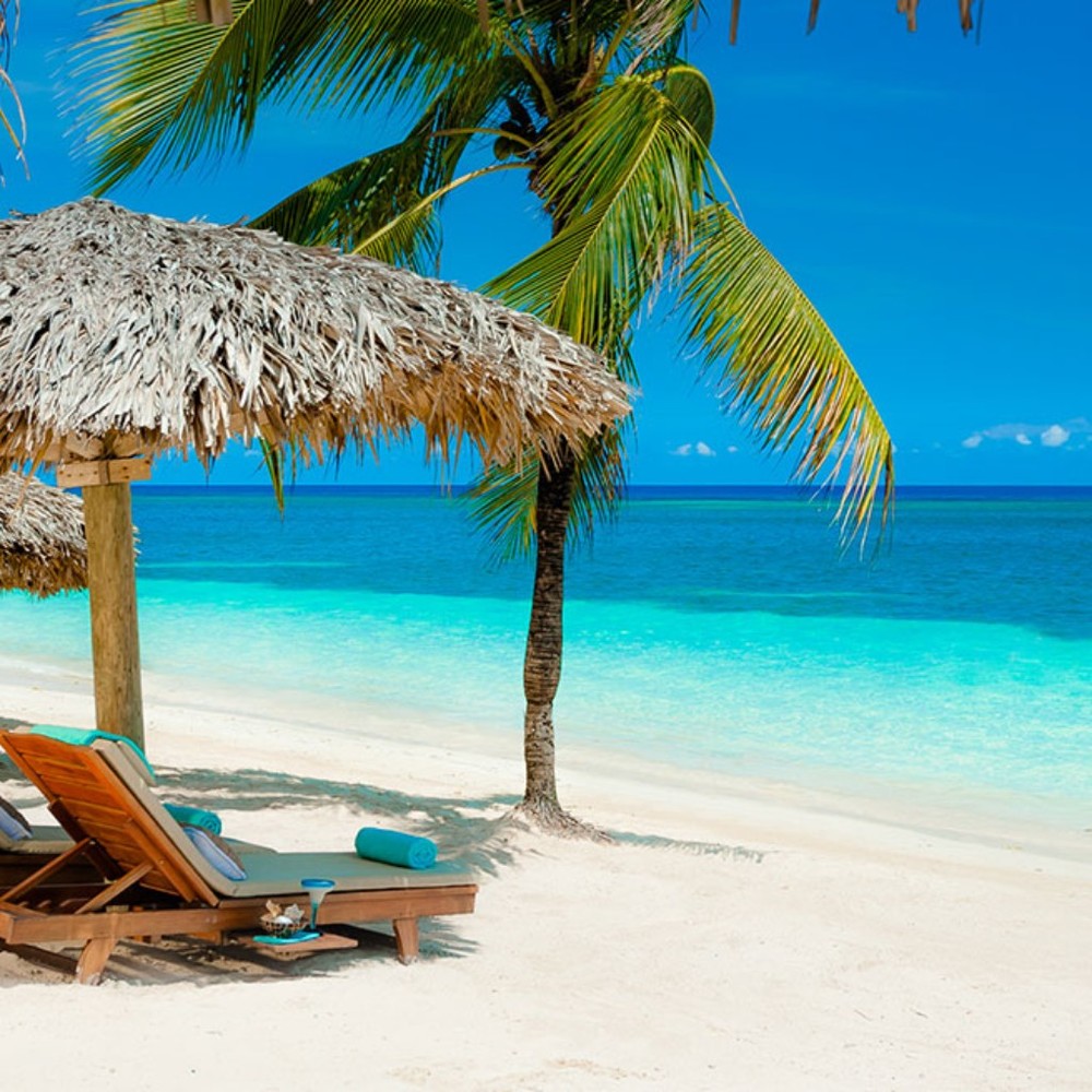 Meet your Posher, Noel